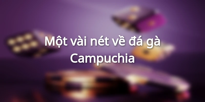 Thông tin về đá gà Campuchia