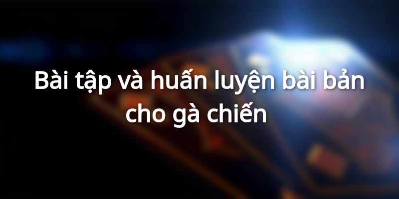 Bài tập và huấn luyện bài bản cho gà chiến 