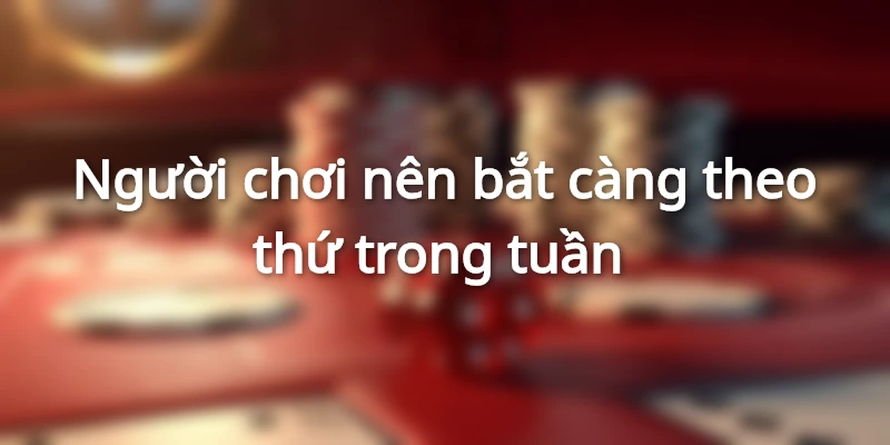 Một số kinh nghiệm chơi xỉu chủ Miền Bắc hiệu quả cho bet thủ