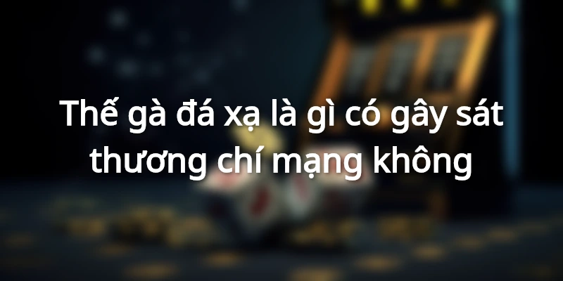 Sức mạnh của thế gà đá xạ là gì?