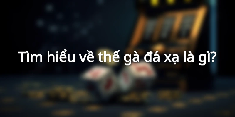 Tìm hiểu về thế gà đá xạ là gì?